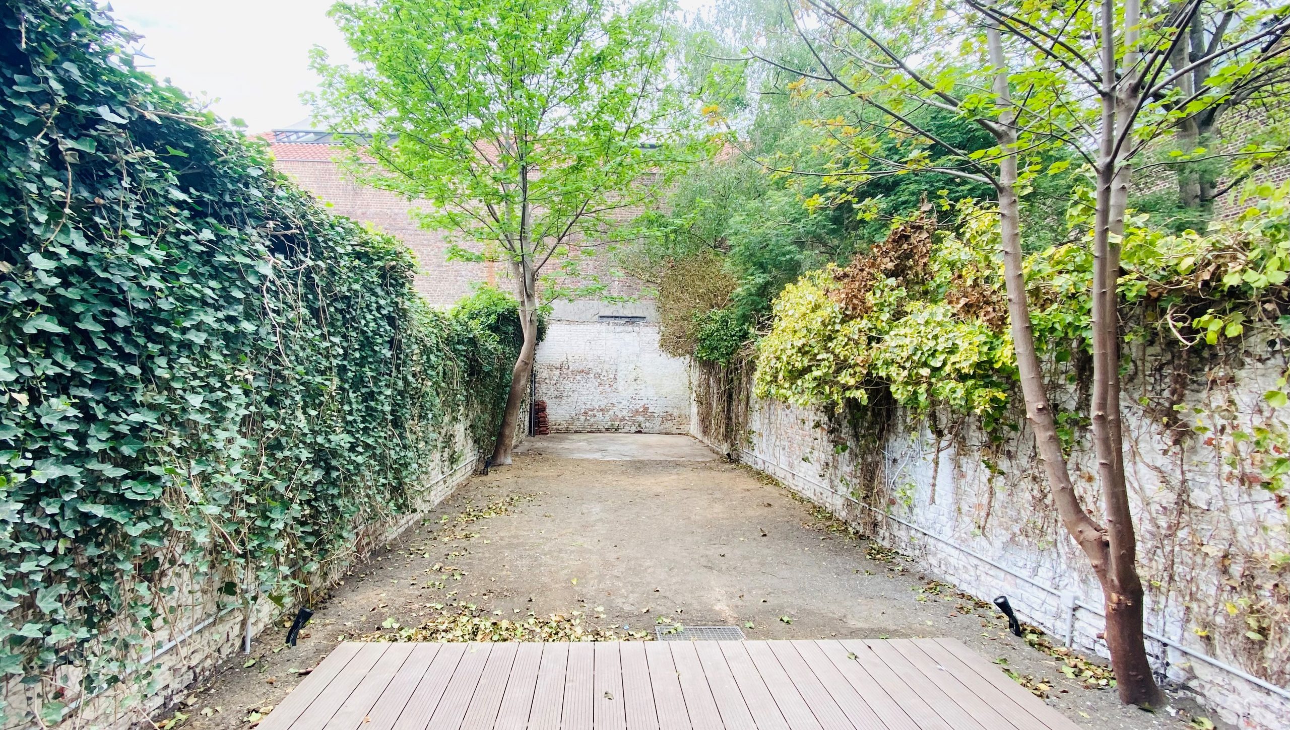 renovation virtuelle