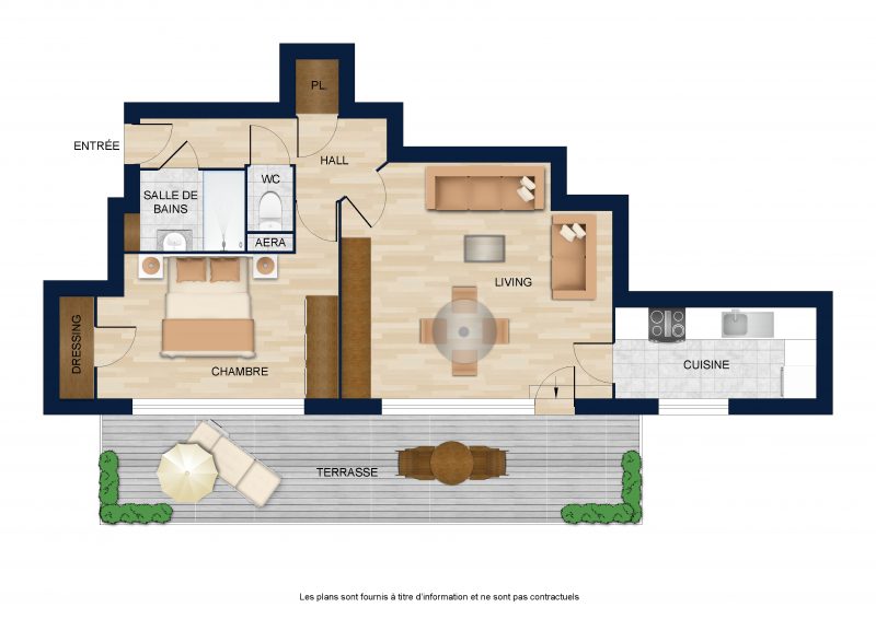 2D furnished color plan