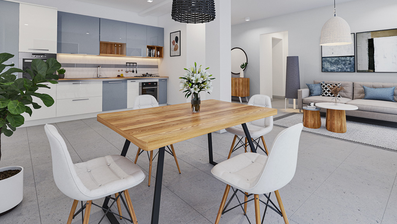 living renovation virtuelle photo immobilier